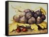 Still Life with Bowl of Figs, c.1650-Giovanna Garzoni-Framed Stretched Canvas