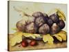 Still Life with Bowl of Figs, c.1650-Giovanna Garzoni-Stretched Canvas