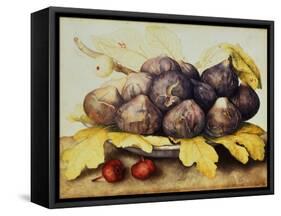 Still Life with Bowl of Figs, c.1650-Giovanna Garzoni-Framed Stretched Canvas