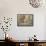 Still Life with Bowls of Fruit and Wine-Jar, from the "Casa Di Giulia Felice"-null-Framed Stretched Canvas displayed on a wall