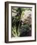 Still Life with Broccoli and Cauliflower-Eising Studio - Food Photo and Video-Framed Photographic Print