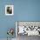 Still Life with Broccoli and Cauliflower-Eising Studio - Food Photo and Video-Framed Photographic Print displayed on a wall