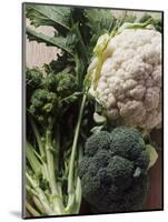 Still Life with Broccoli and Cauliflower-Eising Studio - Food Photo and Video-Mounted Photographic Print