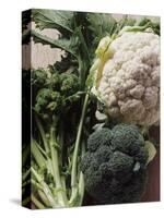 Still Life with Broccoli and Cauliflower-Eising Studio - Food Photo and Video-Stretched Canvas