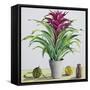 Still Life with Bromeliad-Christopher Ryland-Framed Stretched Canvas