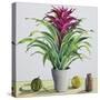 Still Life with Bromeliad-Christopher Ryland-Stretched Canvas