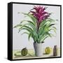 Still Life with Bromeliad-Christopher Ryland-Framed Stretched Canvas