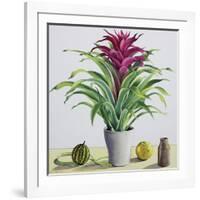 Still Life with Bromeliad-Christopher Ryland-Framed Giclee Print