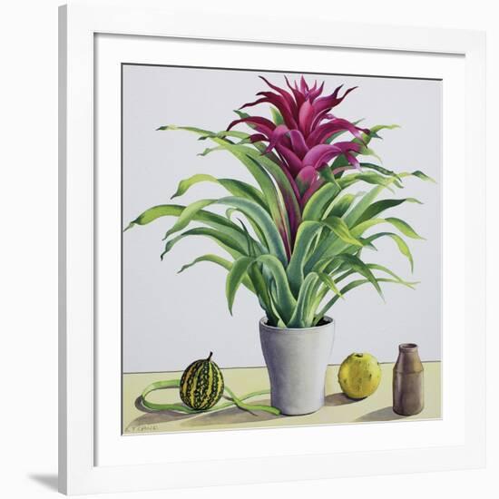 Still Life with Bromeliad-Christopher Ryland-Framed Giclee Print