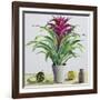 Still Life with Bromeliad-Christopher Ryland-Framed Giclee Print