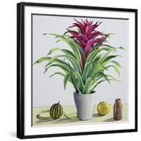 Still Life with Bromeliad-Christopher Ryland-Framed Giclee Print