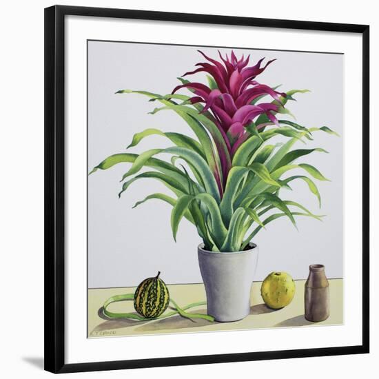 Still Life with Bromeliad-Christopher Ryland-Framed Giclee Print