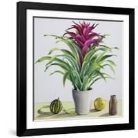 Still Life with Bromeliad-Christopher Ryland-Framed Giclee Print