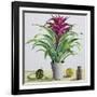 Still Life with Bromeliad-Christopher Ryland-Framed Giclee Print