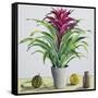 Still Life with Bromeliad-Christopher Ryland-Framed Stretched Canvas