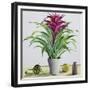 Still Life with Bromeliad-Christopher Ryland-Framed Giclee Print