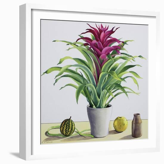 Still Life with Bromeliad-Christopher Ryland-Framed Giclee Print