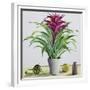 Still Life with Bromeliad-Christopher Ryland-Framed Giclee Print