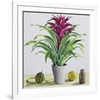 Still Life with Bromeliad-Christopher Ryland-Framed Giclee Print