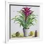 Still Life with Bromeliad-Christopher Ryland-Framed Giclee Print