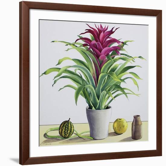 Still Life with Bromeliad-Christopher Ryland-Framed Giclee Print