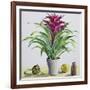 Still Life with Bromeliad-Christopher Ryland-Framed Giclee Print