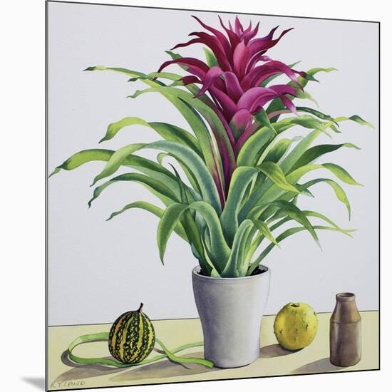 Still Life with Bromeliad-Christopher Ryland-Mounted Giclee Print