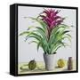 Still Life with Bromeliad-Christopher Ryland-Framed Stretched Canvas