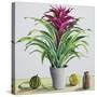 Still Life with Bromeliad-Christopher Ryland-Stretched Canvas