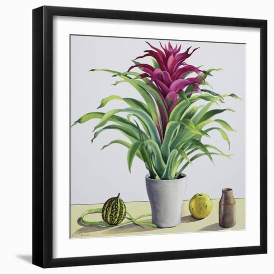 Still Life with Bromeliad-Christopher Ryland-Framed Giclee Print