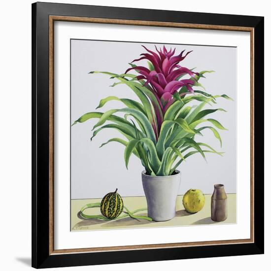 Still Life with Bromeliad-Christopher Ryland-Framed Giclee Print