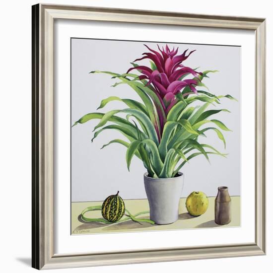 Still Life with Bromeliad-Christopher Ryland-Framed Giclee Print