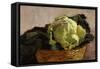 Still Life with Cabbage, 1875-1880-Eugenio Cecconi-Framed Stretched Canvas