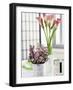 Still Life with Calla Lily and Geraldton Wax Flowers-Alena Hrbkova-Framed Photographic Print