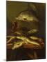 Still Life with Carp-Abraham Hendricksz Van Beyeren-Mounted Giclee Print