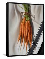 Still Life with Carrots-Catherine Abel-Framed Stretched Canvas