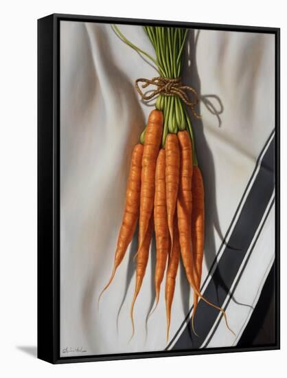 Still Life with Carrots-Catherine Abel-Framed Stretched Canvas