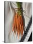 Still Life with Carrots-Catherine Abel-Stretched Canvas