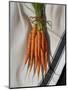 Still Life with Carrots-Catherine Abel-Mounted Giclee Print