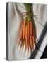 Still Life with Carrots-Catherine Abel-Stretched Canvas