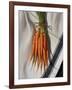 Still Life with Carrots-Catherine Abel-Framed Giclee Print