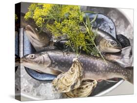 Still Life with Charr, Oysters and Dill-Eising Studio - Food Photo and Video-Stretched Canvas
