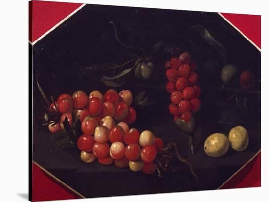 Still Life with Cherries and Strawberries-Luca Forte-Stretched Canvas