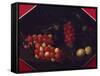 Still Life with Cherries and Strawberries-Luca Forte-Framed Stretched Canvas