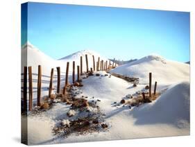 Still Life with Cinnamon Sticks, Nuts, in Sugar Desert-Hartmut Seehuber-Stretched Canvas