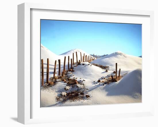 Still Life with Cinnamon Sticks, Nuts, in Sugar Desert-Hartmut Seehuber-Framed Photographic Print