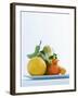 Still Life with Citrus Fruits-Armin Zogbaum-Framed Photographic Print