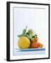 Still Life with Citrus Fruits-Armin Zogbaum-Framed Photographic Print