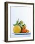 Still Life with Citrus Fruits-Armin Zogbaum-Framed Photographic Print