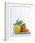 Still Life with Citrus Fruits-Armin Zogbaum-Framed Photographic Print